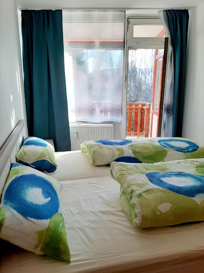 Apartment Anja Schluchsee Kültér fotó
