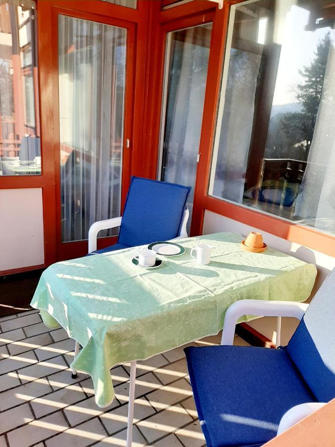 Apartment Anja Schluchsee Kültér fotó